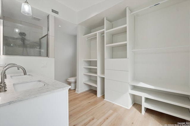 walk in closet with sink and light hardwood / wood-style flooring