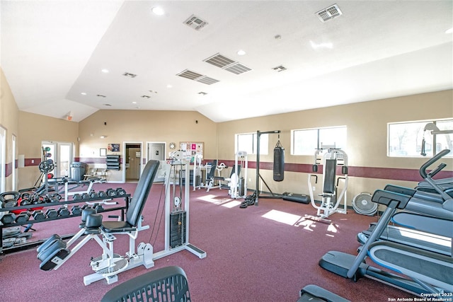 gym featuring lofted ceiling