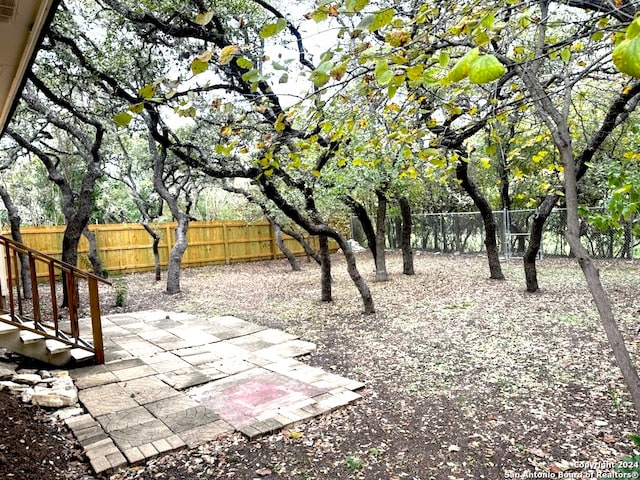 view of yard featuring a patio