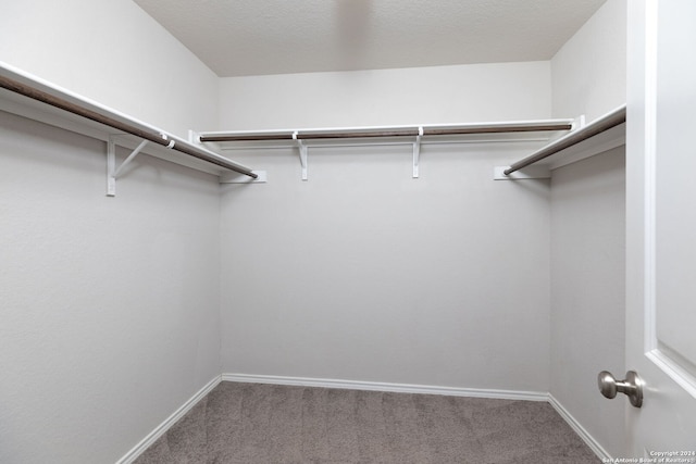 walk in closet with carpet