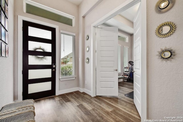 foyer entrance with dark hardwood / wood-style flooring