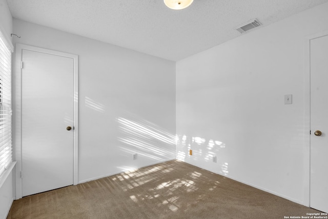 spare room with carpet, a healthy amount of sunlight, and a textured ceiling