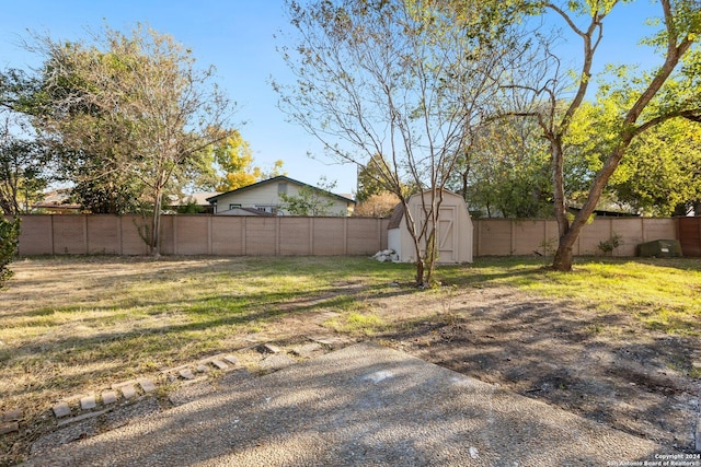 view of yard with a shed