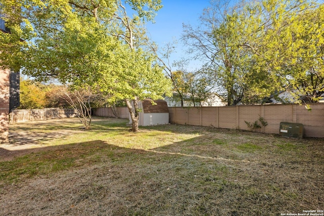 view of yard with a shed