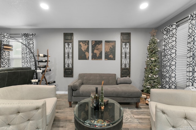 living room featuring hardwood / wood-style flooring