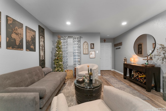 living room featuring light hardwood / wood-style floors