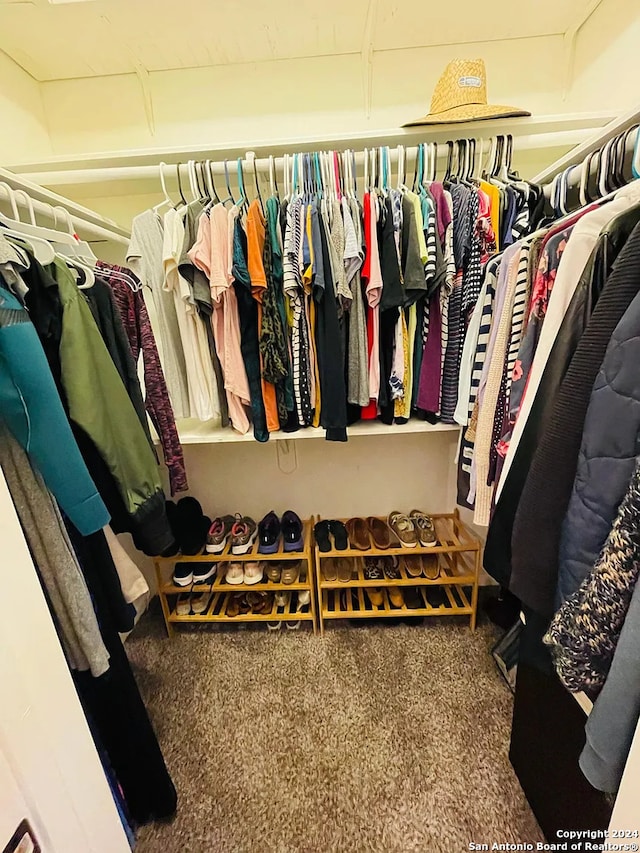 spacious closet featuring carpet flooring