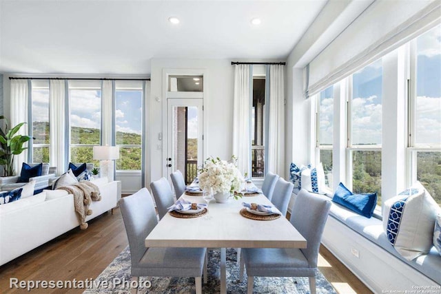 dining space with a healthy amount of sunlight and dark hardwood / wood-style floors