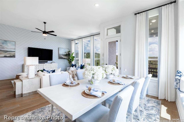 dining room featuring ceiling fan and light wood-type flooring