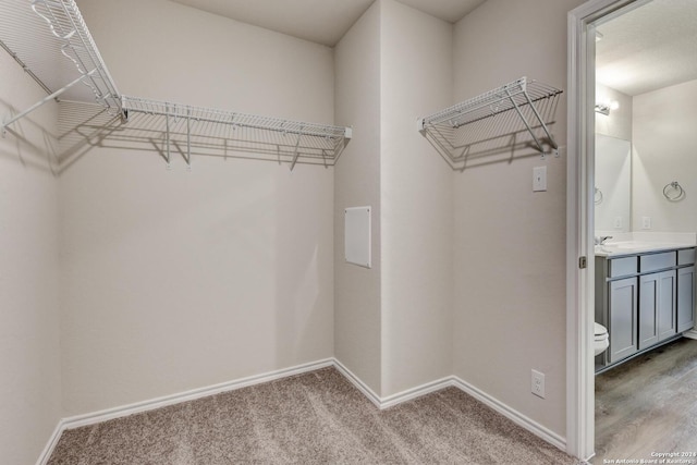 spacious closet with light carpet