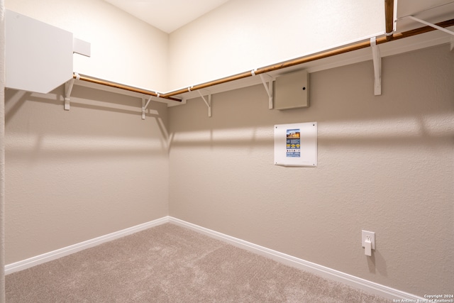 spacious closet featuring carpet flooring