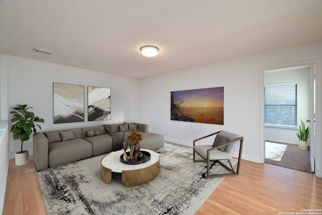 living room with hardwood / wood-style floors and a textured ceiling