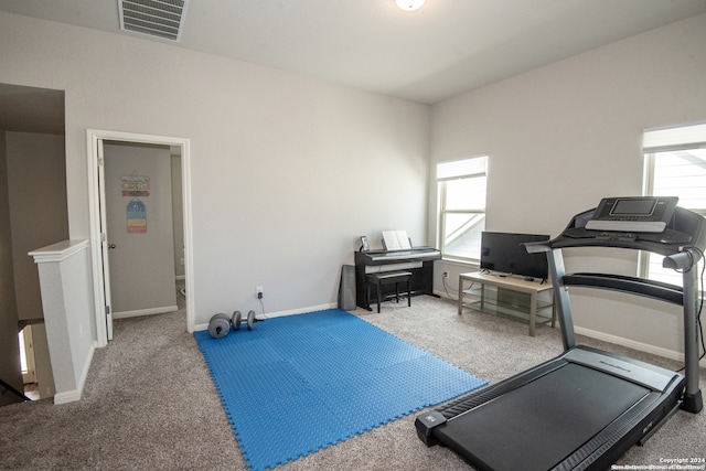 exercise area featuring carpet