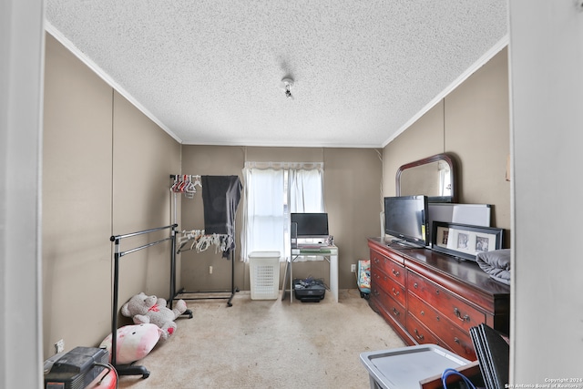 exercise area featuring crown molding, light carpet, and a textured ceiling