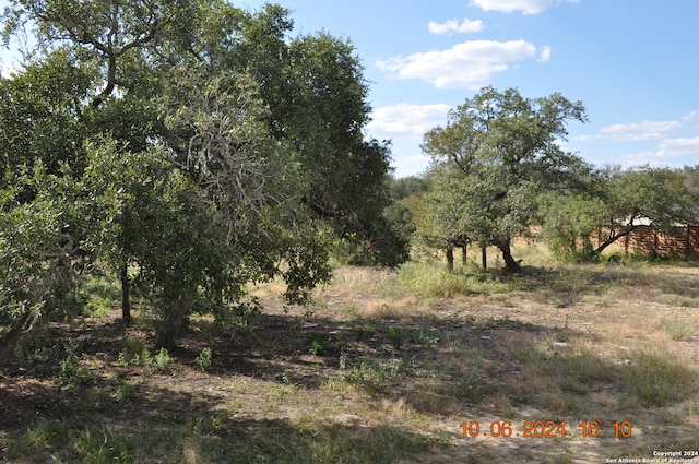 view of nature