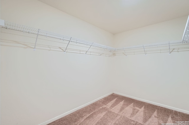 walk in closet featuring carpet flooring