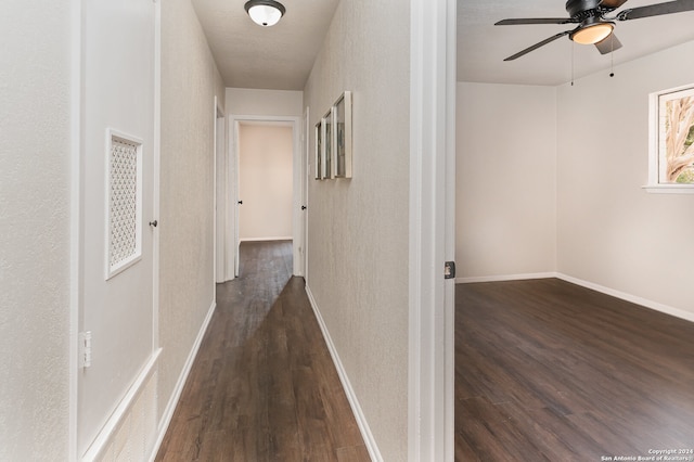 hallway featuring dark hardwood / wood-style floors