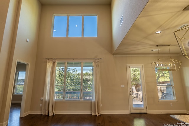 doorway featuring plenty of natural light and dark hardwood / wood-style floors