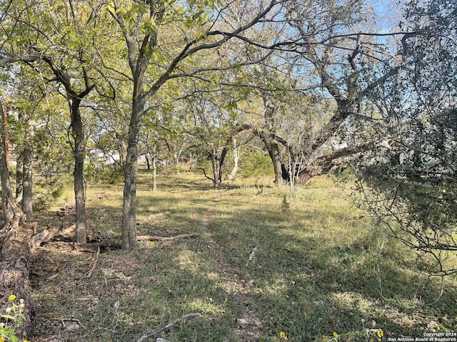 Listing photo 3 for TBD Rio Luna Dr, Bandera TX 78003