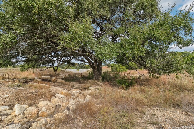 845 Bell Canyon Way, Bulverde, TX 78163