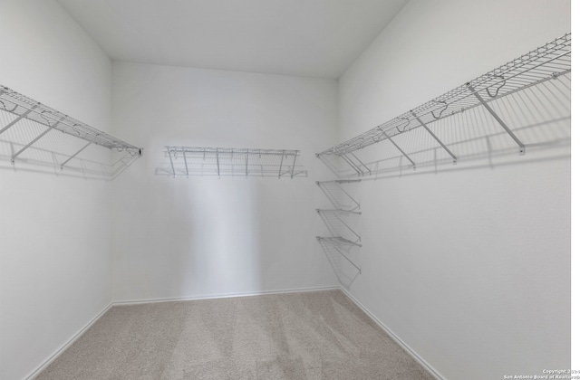 8156 Smithers Ave, San Antonio, TX 78252 - spacious closet featuring carpet