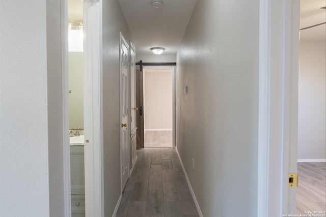 hallway featuring light wood-type flooring and a barn door