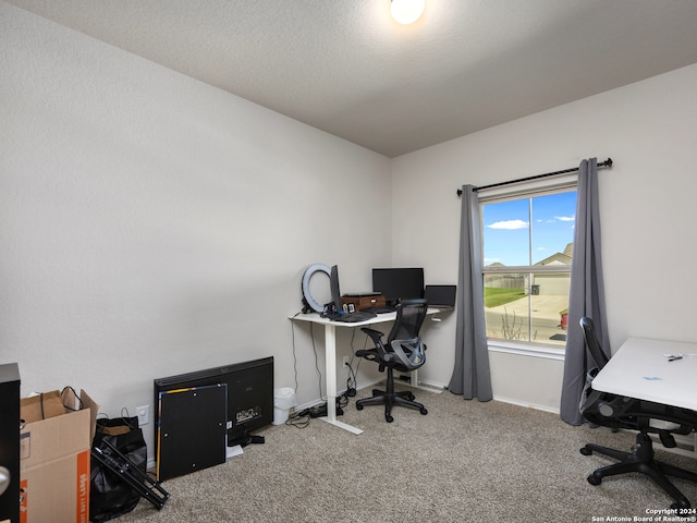 office featuring carpet flooring and a textured ceiling