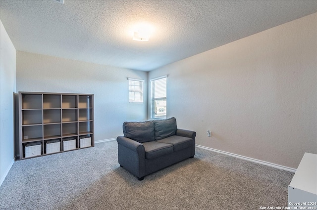 sitting room with carpet floors and a textured ceiling