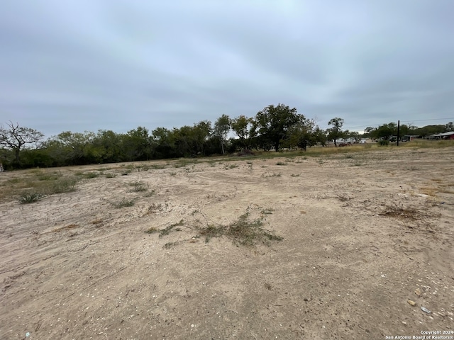 view of local wilderness with a rural view