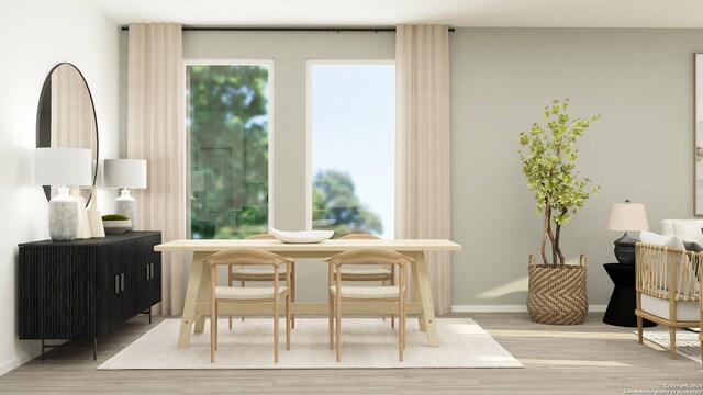 dining room featuring hardwood / wood-style flooring