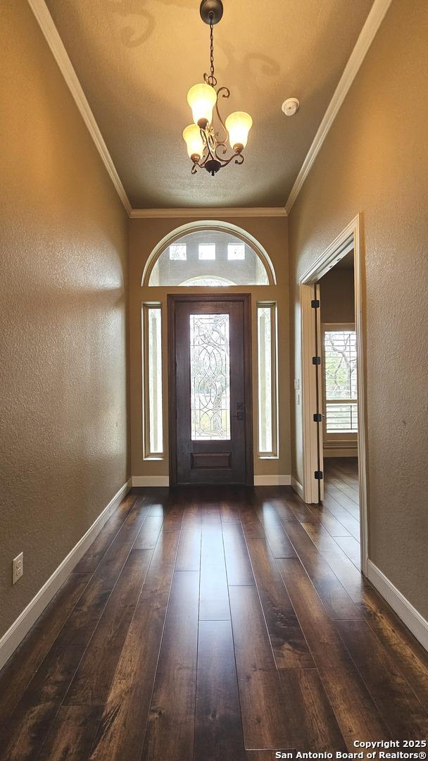 foyer entrance featuring dark wood-style floors, a textured wall, and crown molding