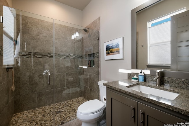 bathroom with vanity, an enclosed shower, and toilet