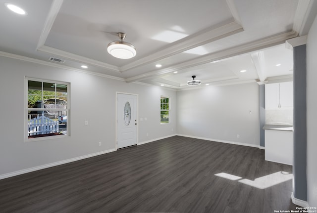 interior space with a raised ceiling, a wealth of natural light, dark hardwood / wood-style flooring, and crown molding