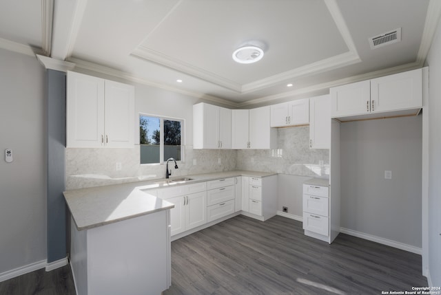 kitchen with white cabinetry, dark wood-type flooring, and a tray ceiling