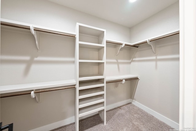 walk in closet featuring light carpet