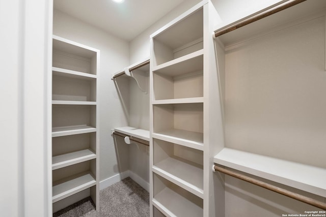 spacious closet with carpet floors