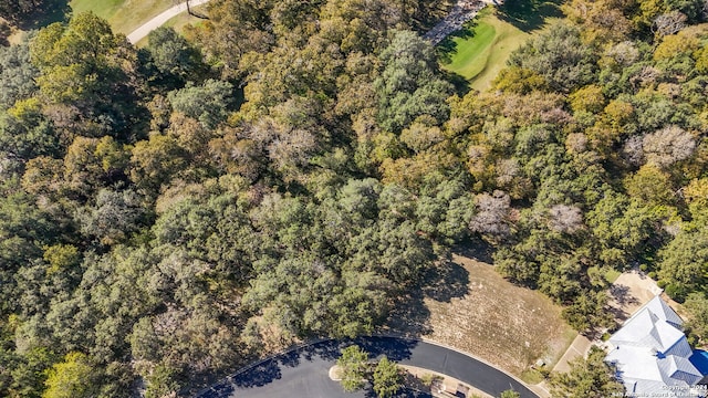 58 Eton Green Cir, San Antonio, TX 78257