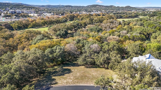 60 Eton Green Cir, San Antonio TX, 78257 land for sale