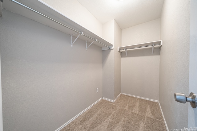 spacious closet featuring light carpet