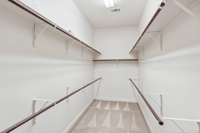 spacious closet with light colored carpet