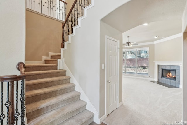 stairs with carpet, ceiling fan, crown molding, and a fireplace