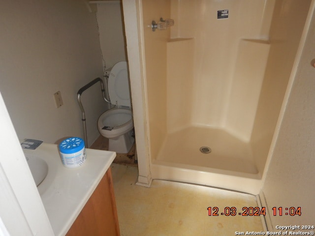 bathroom with a shower, vanity, and toilet