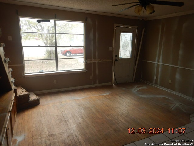 interior space with light hardwood / wood-style flooring, plenty of natural light, ornamental molding, and ceiling fan