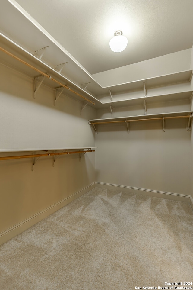 spacious closet with carpet floors