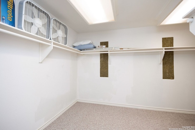 spacious closet with carpet floors