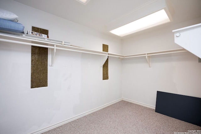 spacious closet featuring light carpet