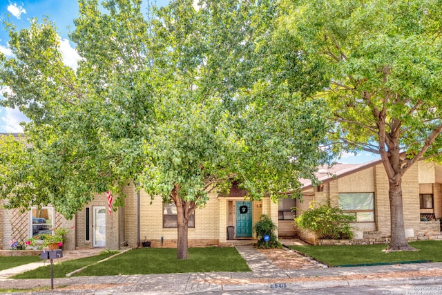 obstructed view of property with a front yard