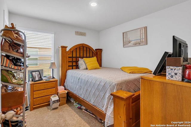 bedroom with carpet flooring