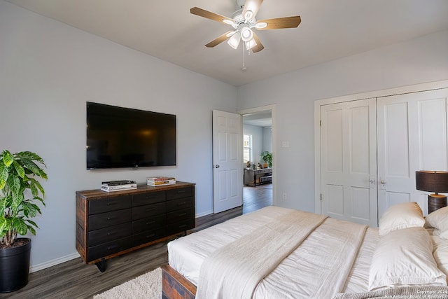 bedroom with dark hardwood / wood-style flooring, a closet, and ceiling fan