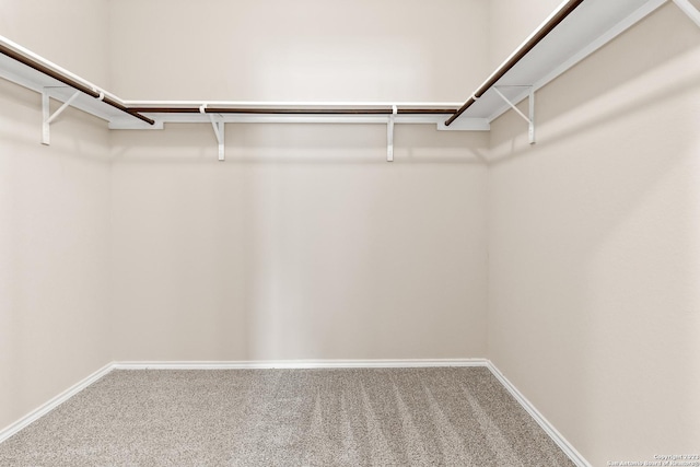 walk in closet featuring carpet